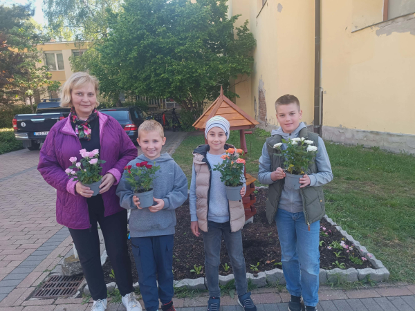 Felelős vagy a rózsádért! 