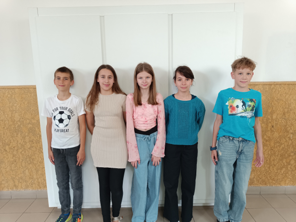 Megyei Matematikaverseny