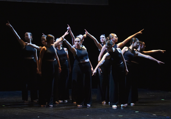 Békák lepték el az egri színházat