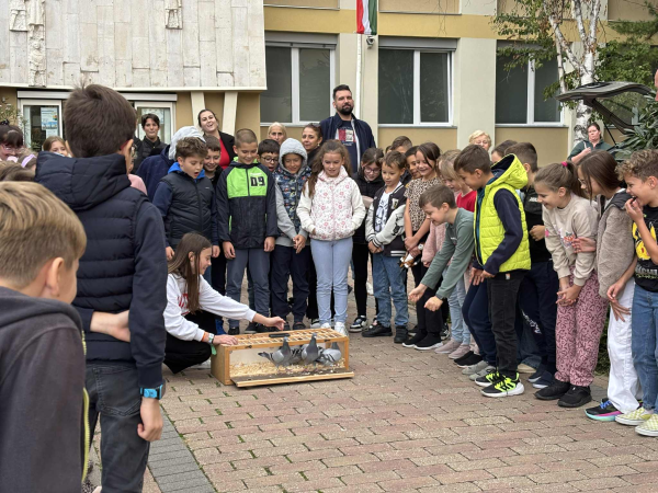 Beszámoló az Állatvédelmi témahétről