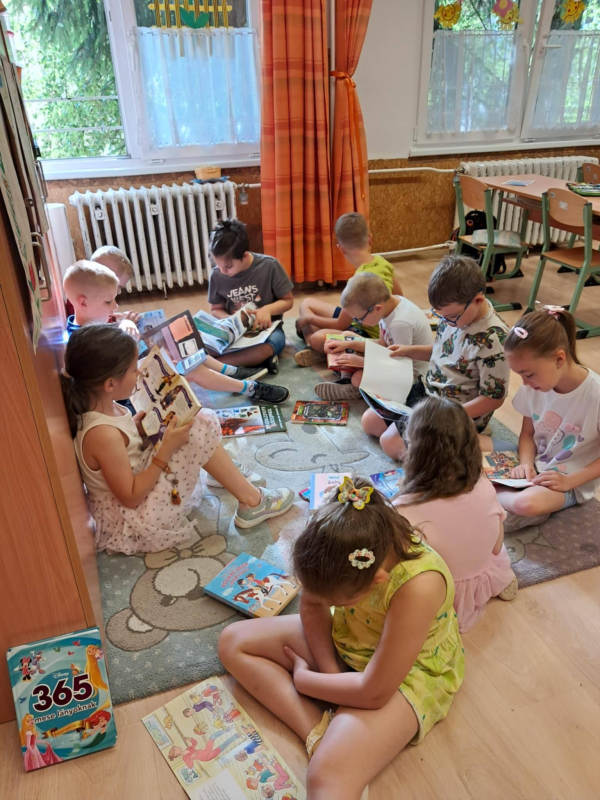 Könyvcsere program