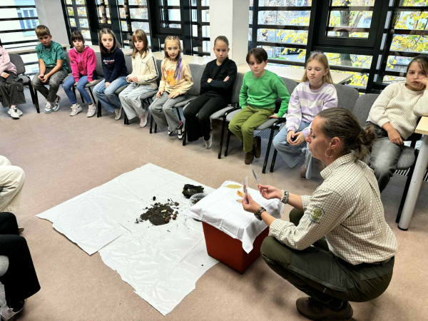 Iskola az erdőben – az erdei talaj titkai az iskolapadban